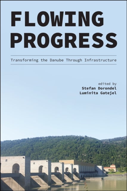 Flowing Progress - Transforming the Danube Through Infrastructure