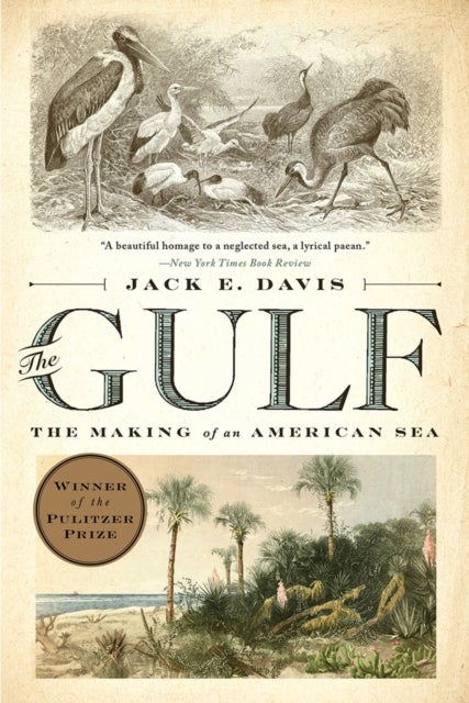 The Gulf - The Making of An American Sea