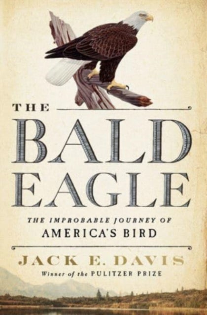 The Bald Eagle - The Improbable Journey of  America's Bird