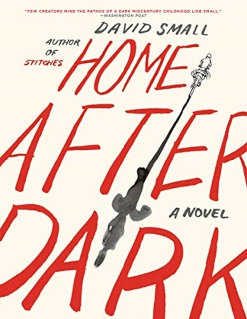Home After Dark - A Novel