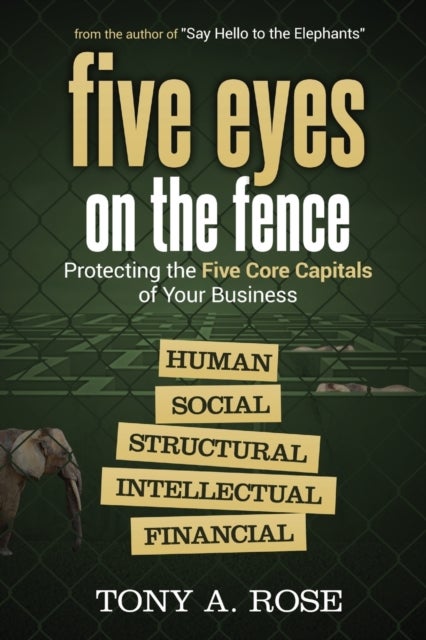 Five Eyes on the Fence - Protecting the Five Core Capitals of Your Business
