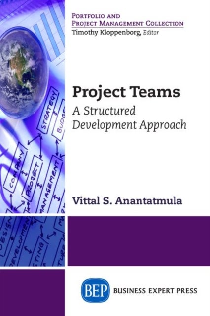Project Teams - A Structured Development Approach