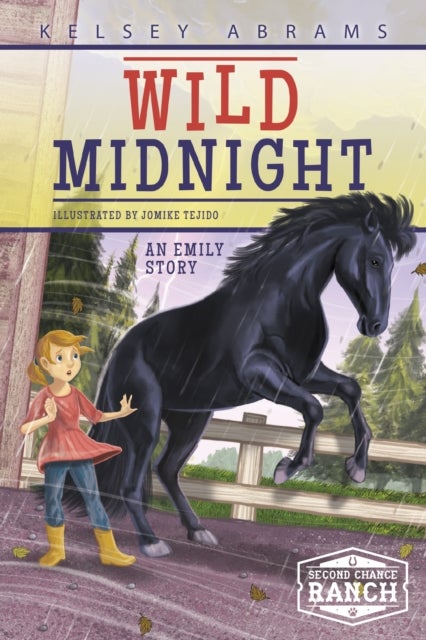Wild Midnight: An Emily Story - An Emily Story