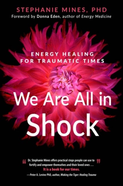 We are All in Shock - Energy Healing for Traumatic Times