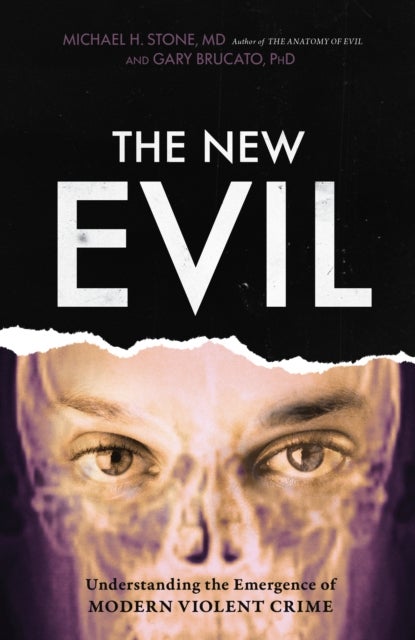 The New Evil - Understanding the Emergence of Modern Violent Crime