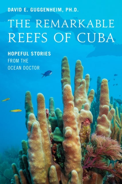 The Remarkable Reefs Of Cuba - Hopeful Stories From the Ocean Doctor
