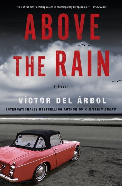 Above the Rain - A Novel