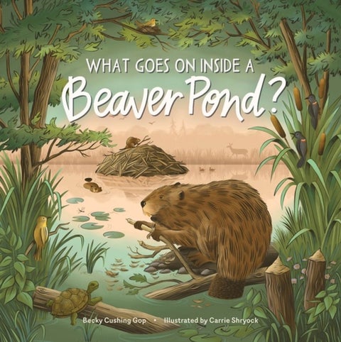 What Goes on inside a Beaver Pond?