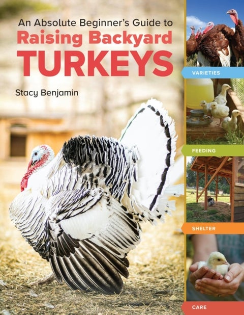 An Absolute Beginner's Guide to Raising Backyard Turkeys - Varieties, Feeding, Shelter, Care