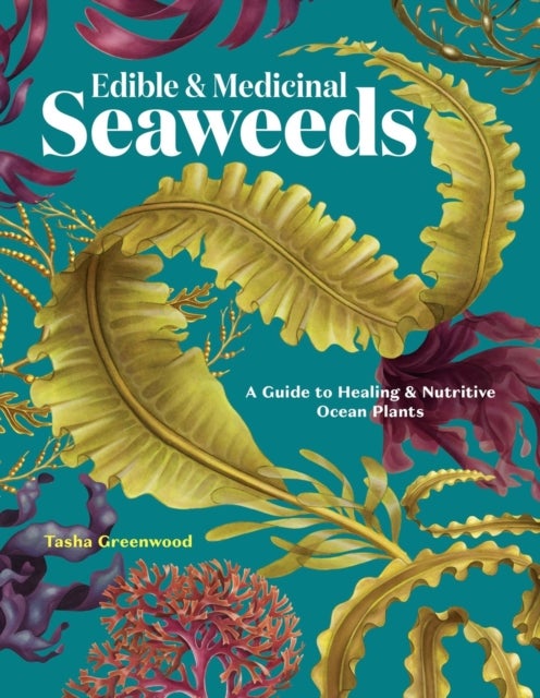 Edible & Medicinal Seaweeds - A Guide to Healing & Nutritive Ocean Plants