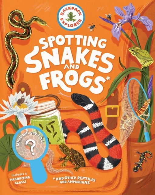 Backpack Explorer: Spotting Snakes and Frogs, and Other Reptiles and Amphibians - What Will You Find?