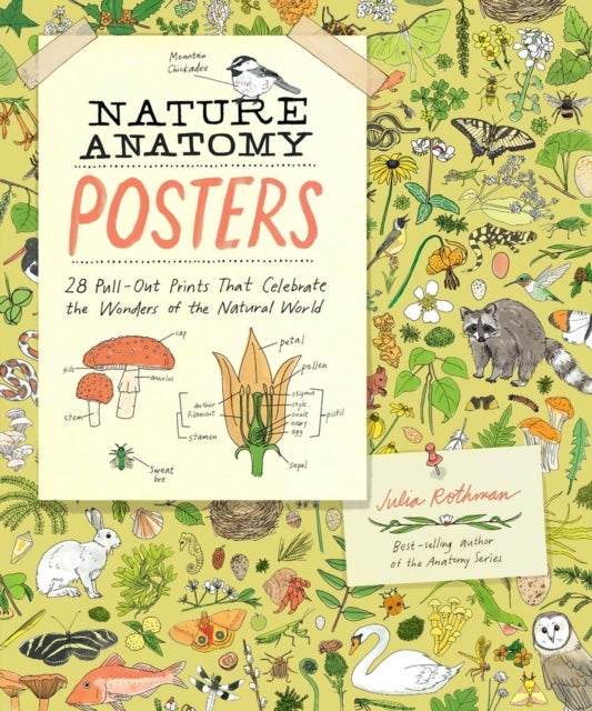 Nature Anatomy Posters - 28 Pull-Out Prints That Celebrate the Wonders of the Natural World