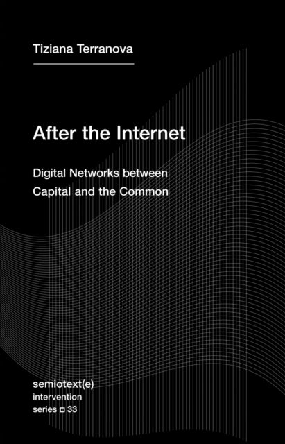 After the Internet - Digital Networks between the Capital and the Common