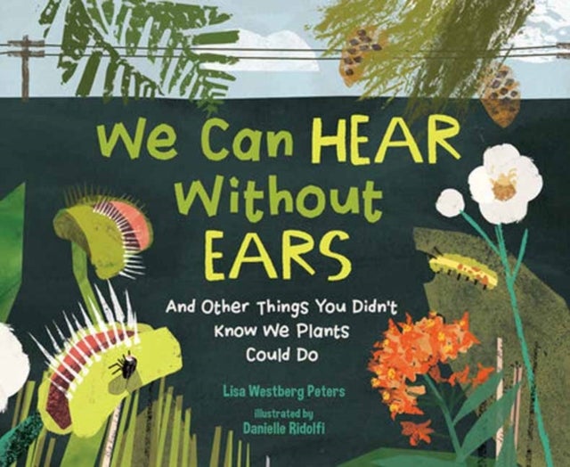 We Can Hear Without Ears - And Other Things You Didn't Know We Plants Could Do