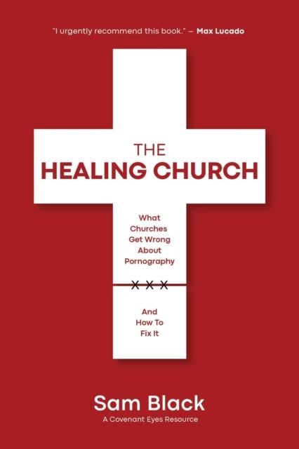 The Healing Church - What Churches Get Wrong about Pornography and How to Fix It