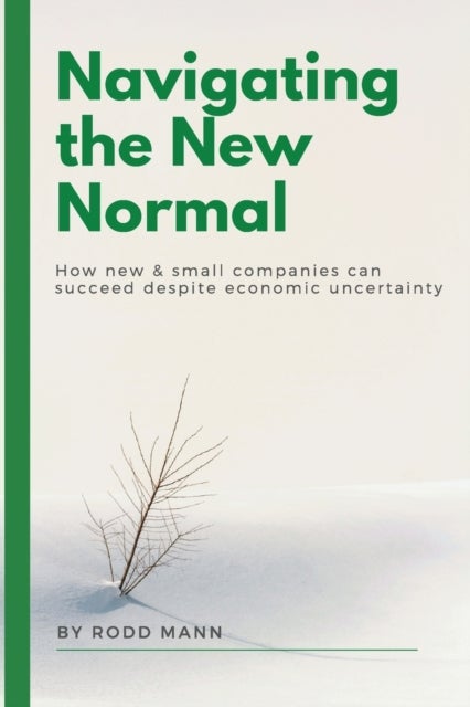 Navigating the New Normal - How New & Small Companies Can Succeed Despite Economic Uncertainty