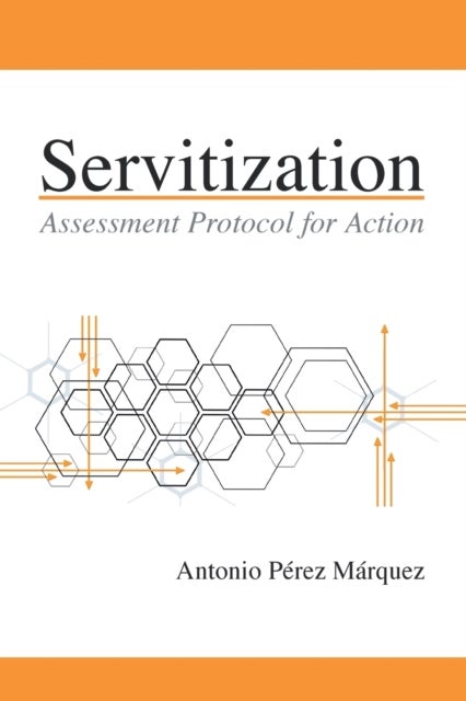 Servitization - Assessment Protocol for Action