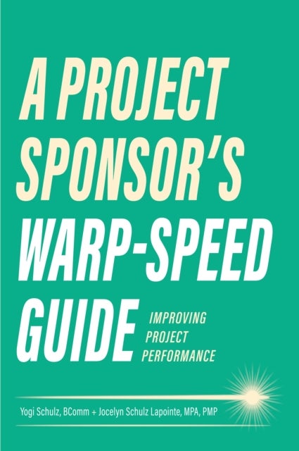 A Project Sponsor's Warp-Speed Guide - Improving Project Performance