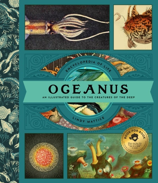Oceanus - An Illustrated Guide to Creatures of the Deep