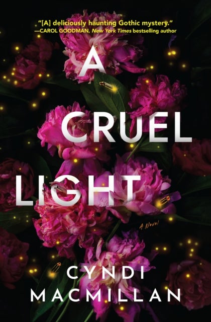 A Cruel Light - A Novel