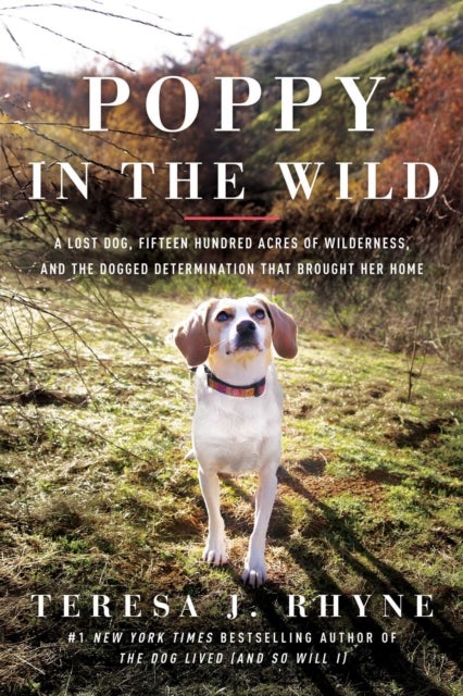 Poppy in the Wild - A Lost Dog, Fifteen Hundred Acres of Wilderness, and the Dogged Determination that Brought Her Home