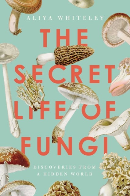 Secret Life of Fungi - Discoveries From a Hidden World