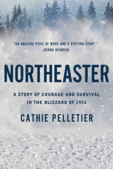 Northeaster - A Story of Courage and Survival in the Blizzard of 1952