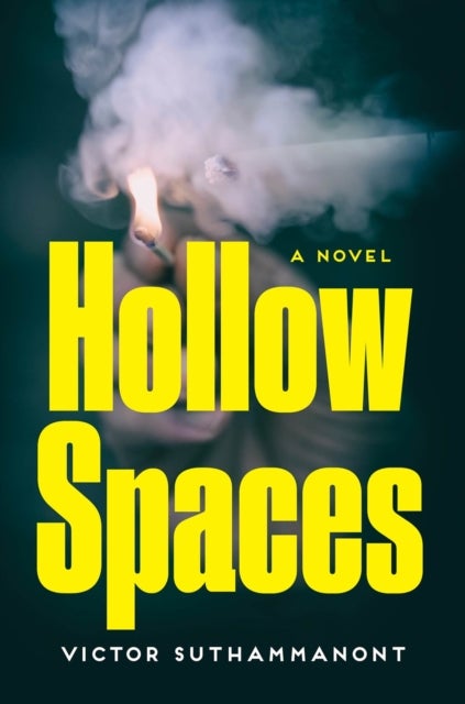 Hollow Spaces - A Novel