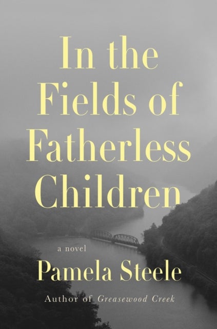 In The Fields of Fatherless Children - A Novel