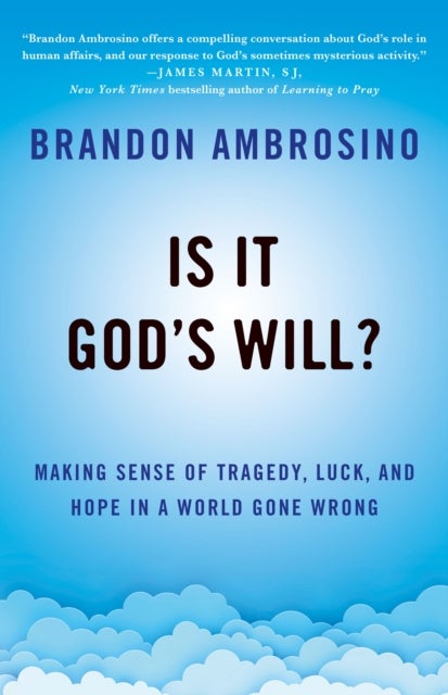 Is It God's Will? - Making Sense of Tragedy, Luck, and Hope in a World Gone Wrong