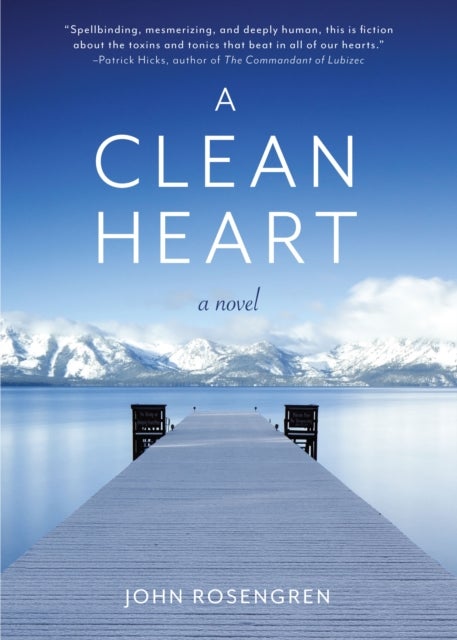 A Clean Heart - A Novel (Alcoholism, Dysfunctional Family, Recovery, Redemption, 12-Steps)