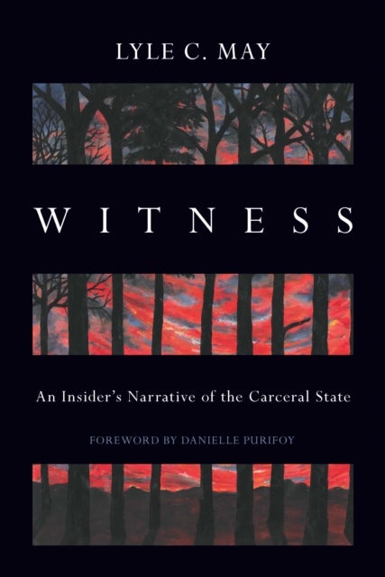 Witness - An Insider's Narrative of the Carceral State