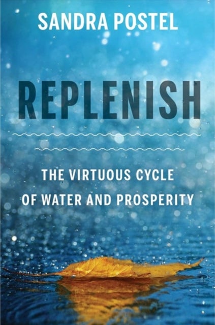 Replenish - The Virtuous Cycle of Water and Prosperity