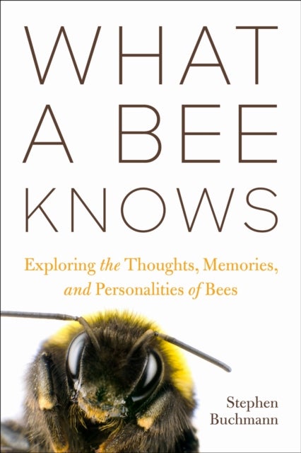 What a Bee Knows - Exploring the Thoughts, Memories, and Personalities of Bees