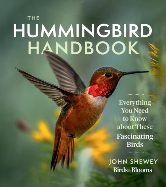 The Hummingbird Handbook - Everything You Need to Know about These Fascinating Birds