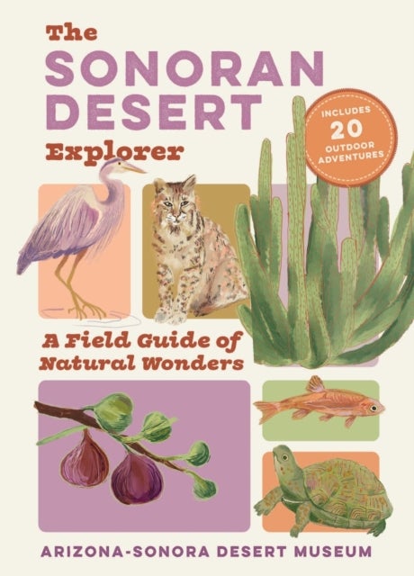 The Sonoran Desert Explorer - A Guide to Natural Wonders and Adventures