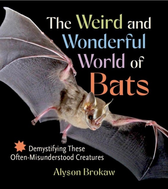The Weird and Wonderful World of Bats - Demystifying These Often-Misunderstood Creatures