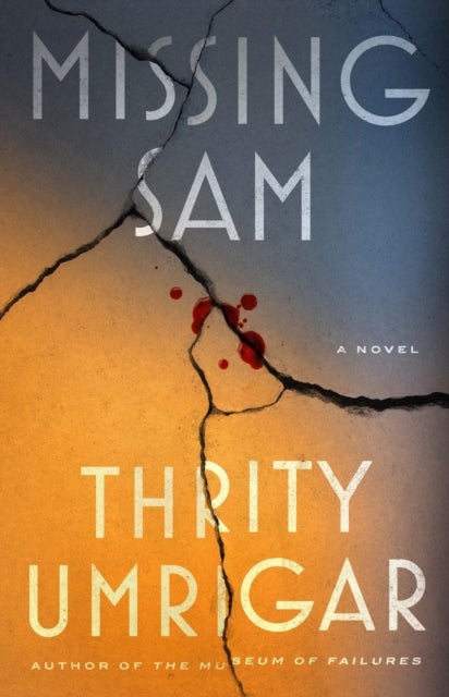 Missing Sam - A Novel