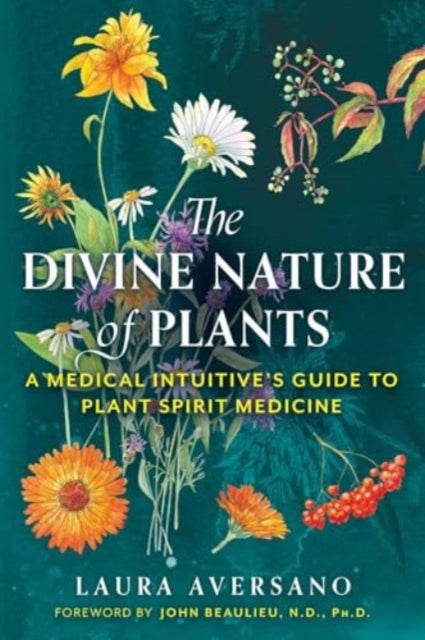 The Divine Nature of Plants - A Medical Intuitive's Guide to Plant Spirit Medicine