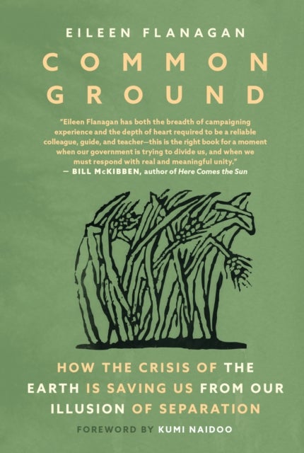 Common Ground - Stories of Resistance and Healing from the Movement to Protect the Earth