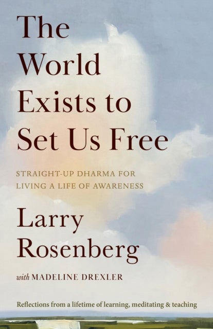 The World Exists to Set Us Free - Straight-Up Dharma for Living a Life of Awareness