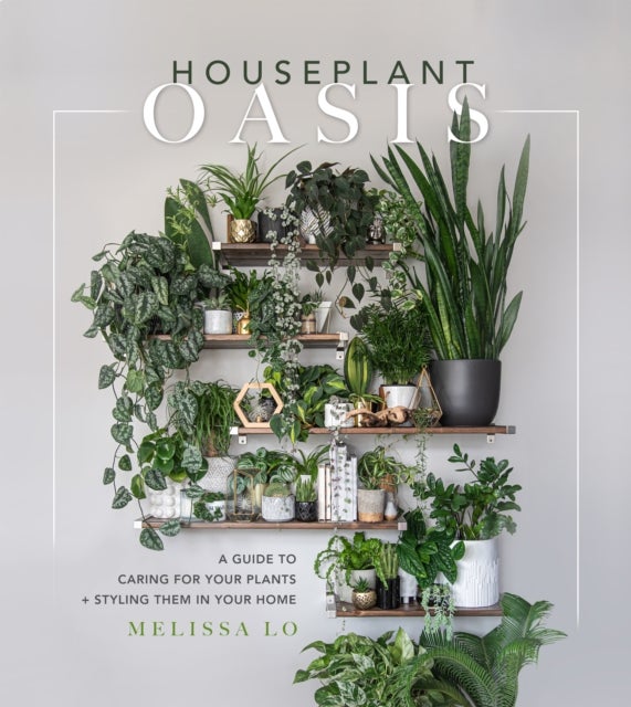 Houseplant Oasis - A Guide to Caring for Your Plants + Styling Them in Your Home