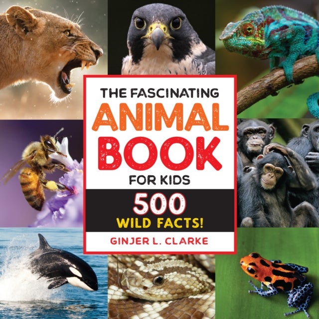The Fascinating Animal Book for Kids - 500 Wild Facts!