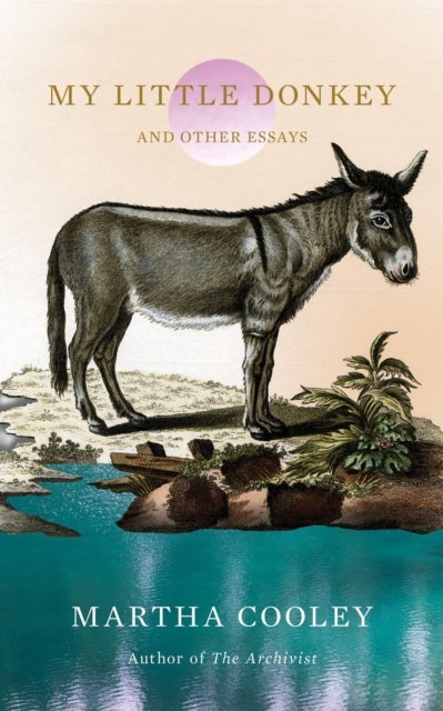 My Little Donkey - And Other Essays