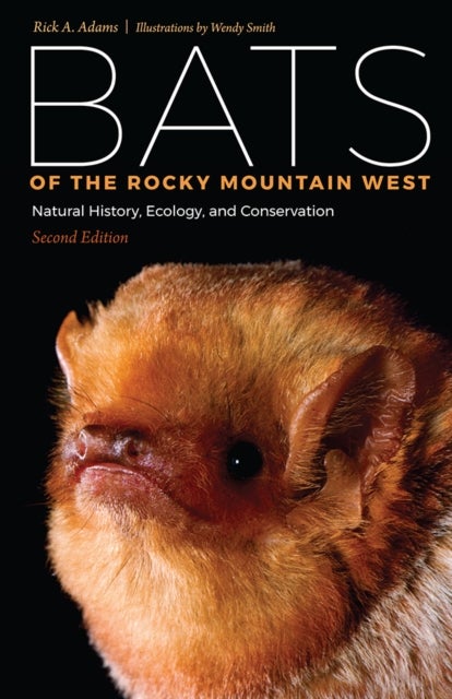 Bats of the Rocky Mountain West - Natural History, Ecology, and Conservation