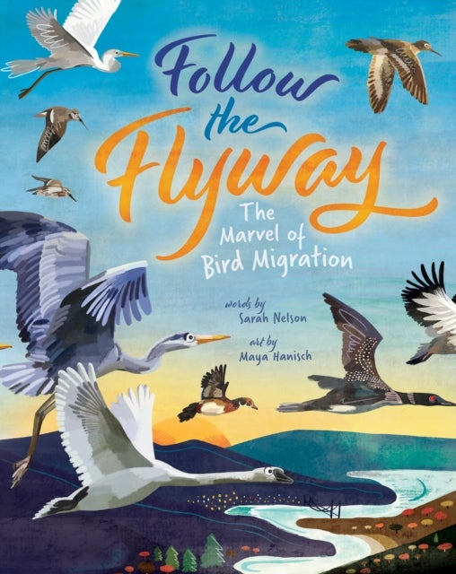 Follow the Flyway - The Marvel of Bird Migration