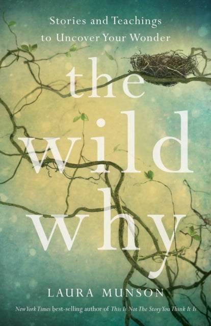The Wild Why - Returning to Your Wonder