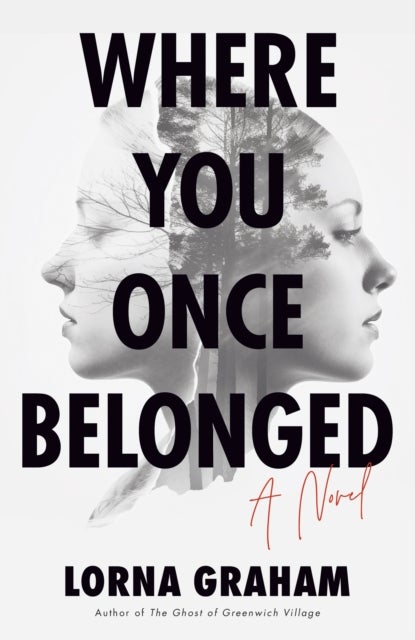 Where You Once Belonged - A Novel