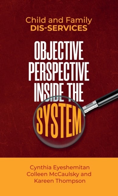 Child and Family Dis-services - Objective Perspective Inside the System