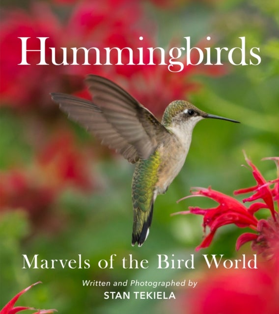 Hummingbirds - Marvels of the Bird World